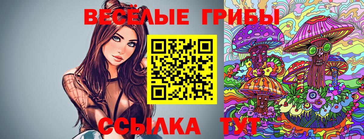 Псилоцибиновые грибы мицелий  Вход с VPN  Янаул 