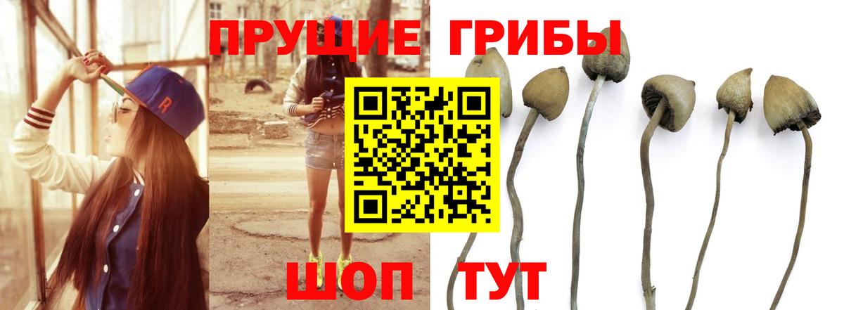Псилоцибиновые грибы прущие грибы Янаул